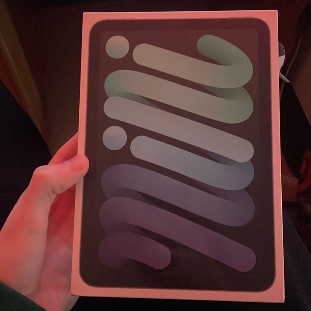 iPad mini gen 6 256gb